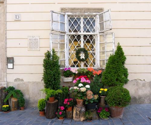 Hotel Monarchy Residence