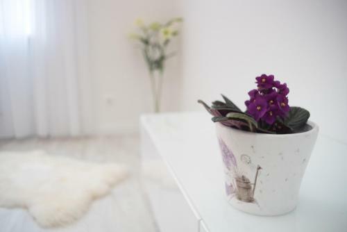 Sofia Apartment