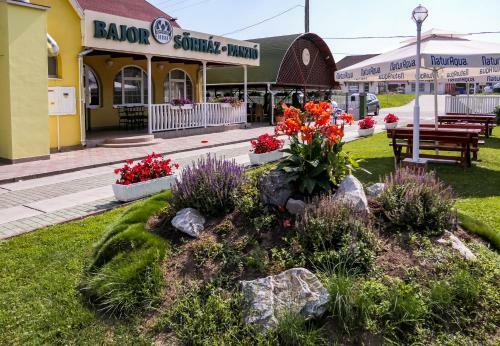 Bed & Breakfast Hbh Bajor S�rh�z, �tterem �s Panzi�