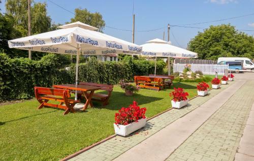 Bed & Breakfast Hbh Bajor S�rh�z, �tterem �s Panzi�