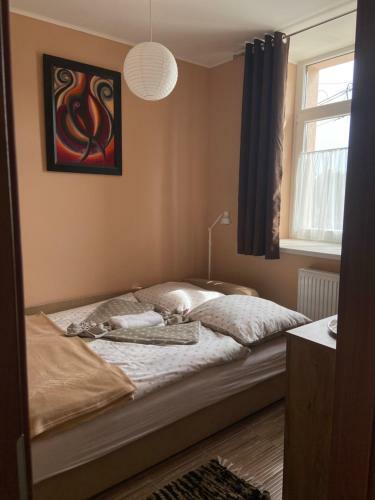 Monzi Apartmanh�z