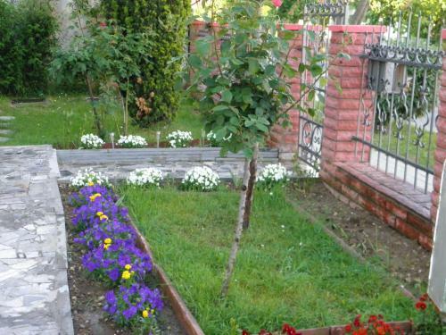 Apartamento H�v�z Krist�lyapartman