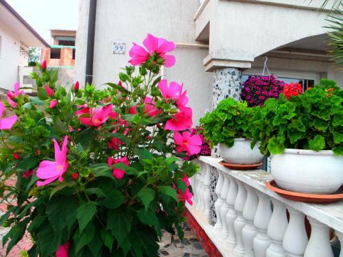 Apartamento H�v�z Krist�lyapartman