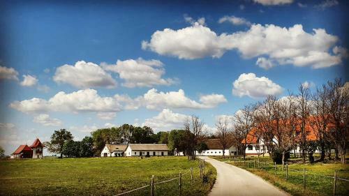 Bed & Breakfast Kuns�gi Major