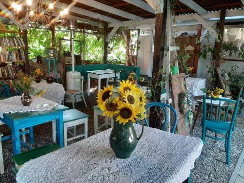 Hostal Piac Vend�gh�z