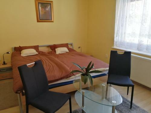 J�szay Vend�gh�z Par�dsasv�r