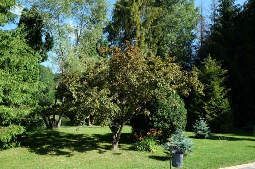 Bed & Breakfast Sebesvi�z Panzi�