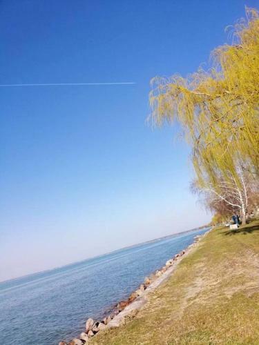 Besz�des 59 Ii. Apartman Si�fok