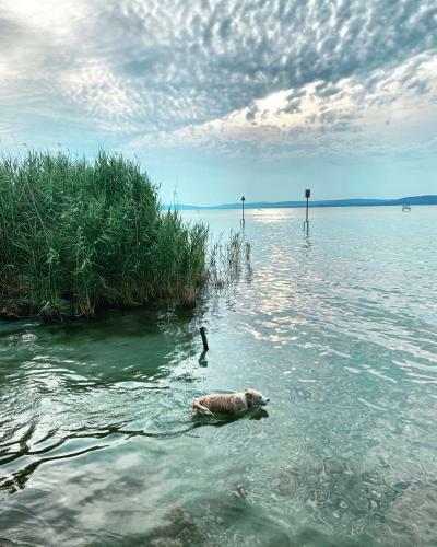 The Nook - Balatonkiliti