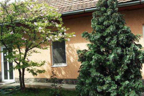 Apartamento R�zsakert Vend�gh�z