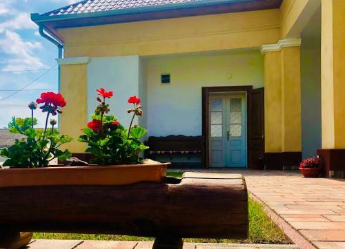 Apartamento �mor Ak�c Vend�gh�z