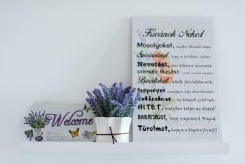 Panor�m�s, T�parti, L�gkondicion�lt Apartman