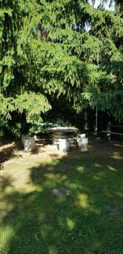 Apartamento Anonymus Vend�gh�z