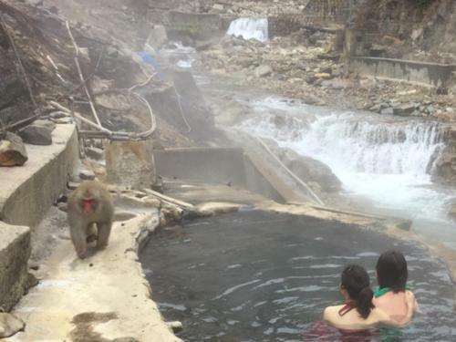 Jigokudani Onsen Korakukan