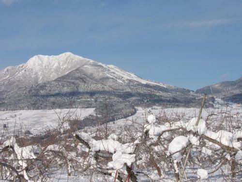 Yasuragi