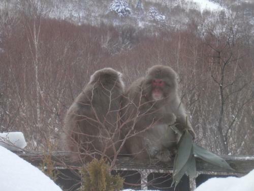 Bed & Breakfast Hotel Takimoto