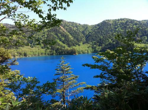 Bed & Breakfast Hotel Takimoto