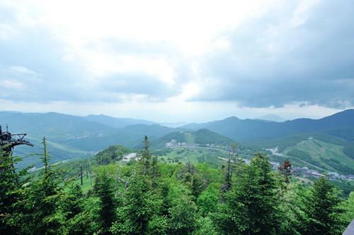 Bed & Breakfast Hotel Takimoto