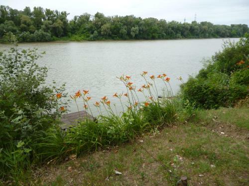 Tisza Parti Nyaral�h�z