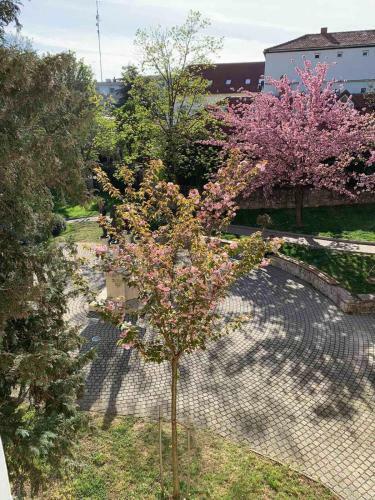 N�gy �vszak Apartman- Tapolca