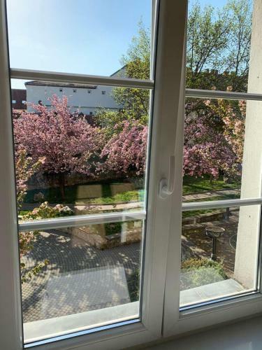 N�gy �vszak Apartman- Tapolca