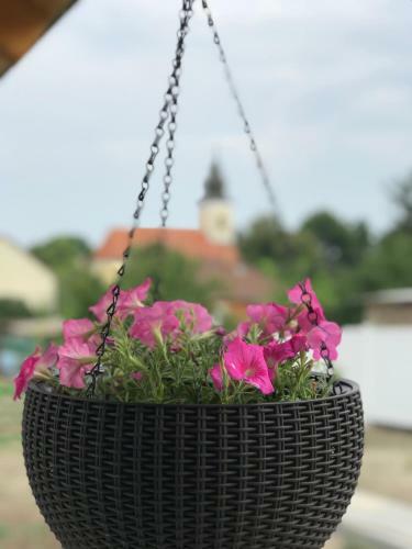 Hostal Sz�p Napot Vend�gh�z