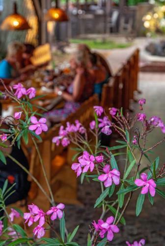 Bed & Breakfast Geszteny�s