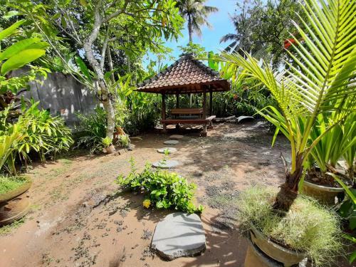 Hostal Medewi Drop Villa