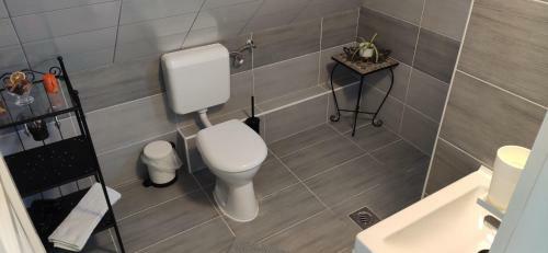 Villa Panor�ma Szarvask?