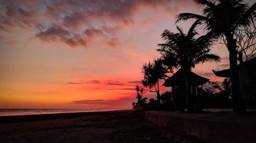 Hotel Brown Sugar Surf Village