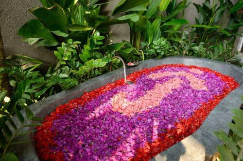Villa Jabali Seminyak