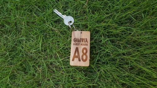 Hotel Olivia Guesthouse - Canggu
