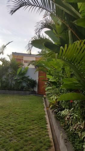Hotel Olivia Guesthouse - Canggu