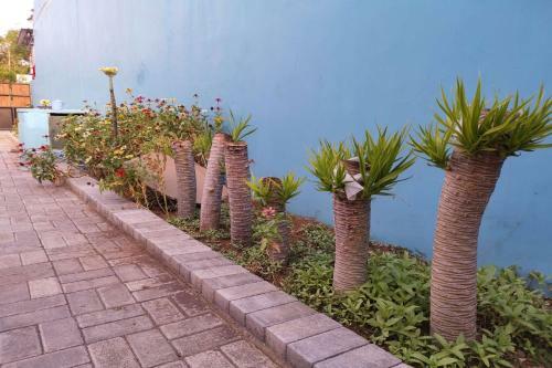 Hotel Oyo 1291 Asipra House