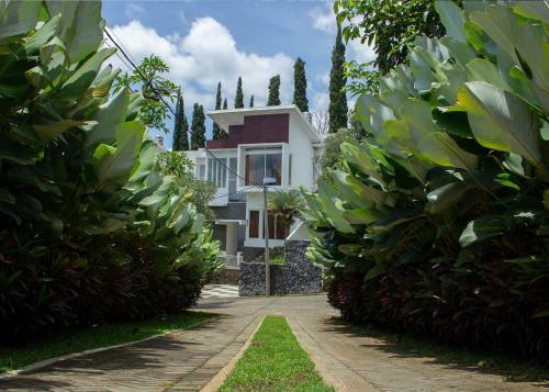Hostal Rockwood Resort & Villa's
