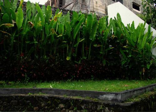 Hostal Rockwood Resort & Villa's