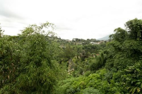 Hotel Oyo 3130 D'valley View