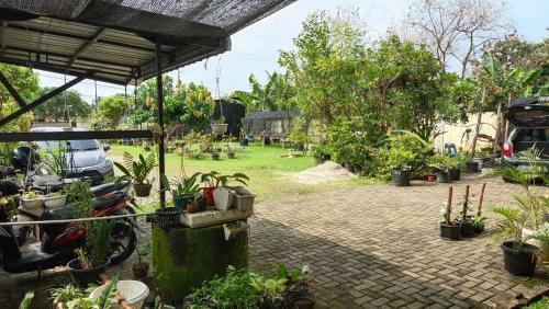 Hostal Amani House Syariah