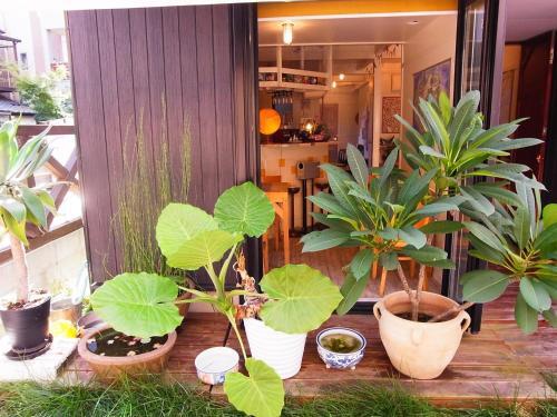 Albergue Costel Minoshima