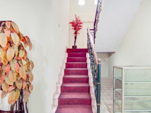 Hotel Oyo 3133 Wisma Yampi Syari'ah