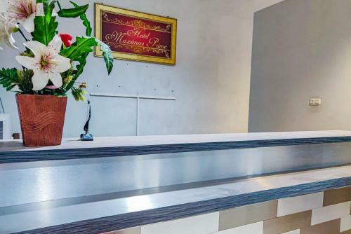 Hostal Maximus Prime