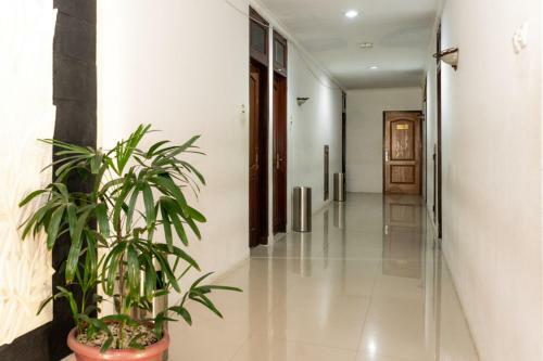 Hotel Reddoorz Plus Syariah Near Java Supermall Semarang 2