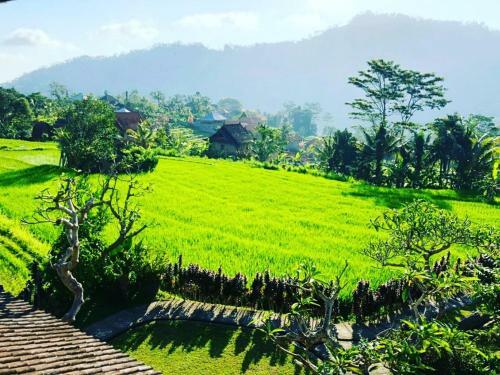 Noka Homestay