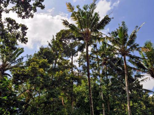 Hotel Gunung An Retreat
