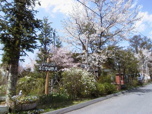 Bed & Breakfast Pension Sequoia