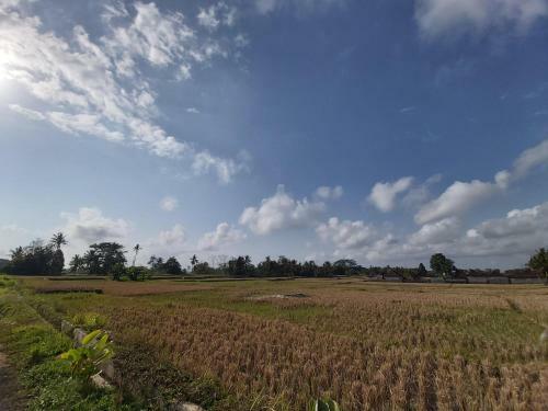 Hostal Ayuna Family Ubud