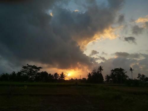 Hostal Ayuna Family Ubud