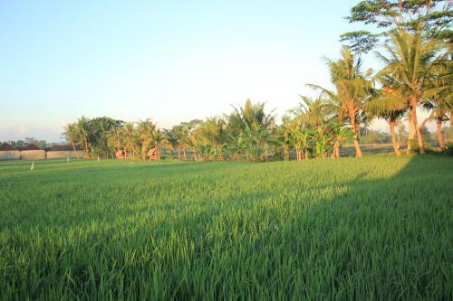 Hostal Ayuna Family Ubud