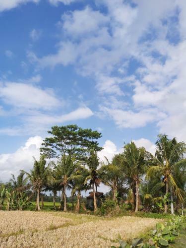 Hostal Ayuna Family Ubud