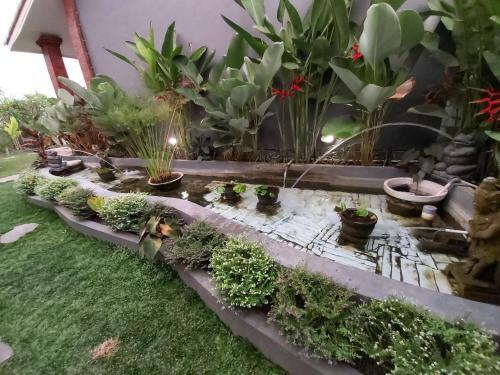 Hostal Ayuna Family Ubud
